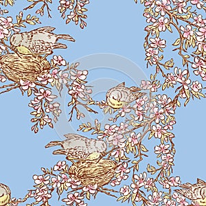 Seamless background of birds nesting on blooming cherry tree