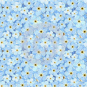 Seamless background with blue forget-me-not flowers. Vector illustration.