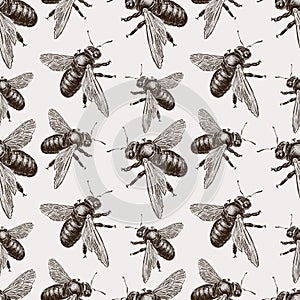 Seamless background of bumblebees photo