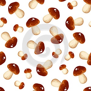 Seamless background with cep mushrooms. Vector illustration.