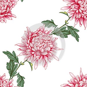 Seamless background with chrysanthemums and ornament on backdrop.