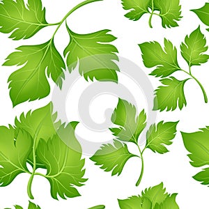 Seamless background design with coriander leaves