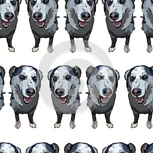 Seamless background with dogs