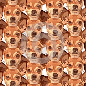 Seamless background with dogs