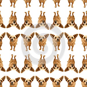 Seamless background with dogs