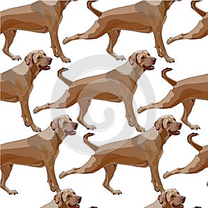 Seamless background with dogs