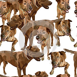 Seamless background with dogs