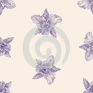 Seamless background of drawn textured iris flowers heads