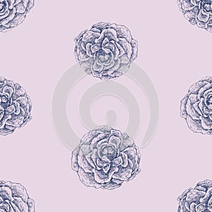 Seamless background of drawn textured roses heads