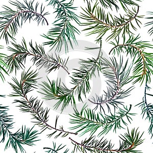 Seamless background with fir tree