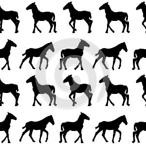 Seamless background with foals silhouettes