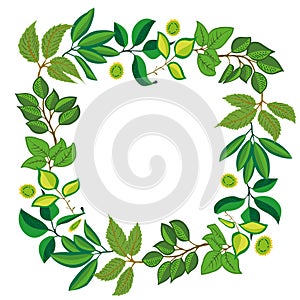 Seamless background with green leaves