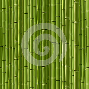 Seamless background of green wall bamboo.