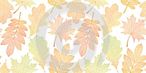 Seamless background with leaves skeletons.