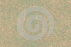 Seamless background. Dry grass.