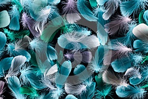 Seamless background with multicolored lightweight feathers isolated on black.