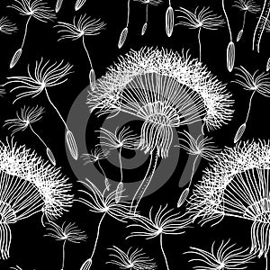 Seamless background with overblown dandelion