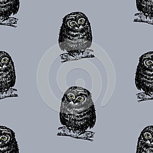 Seamless background of an owlets sitting on tree branches