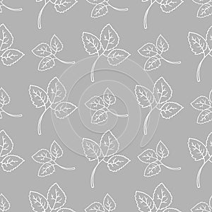 Seamless background pattern with leaves. Healthy lifestyle. Vector illustration