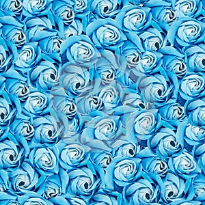 Seamless background. Pattern of a lot of blue roses.