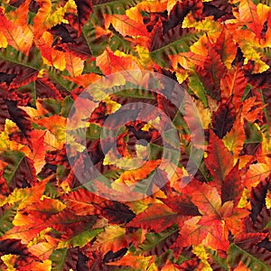 Seamless background pattern texture made of maple leaves