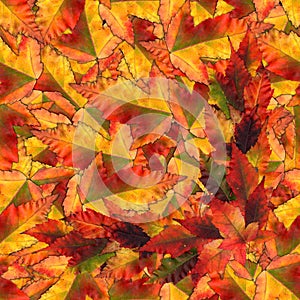 Seamless background pattern texture made of maple leaves