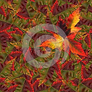 Seamless background pattern texture made of maple leaves