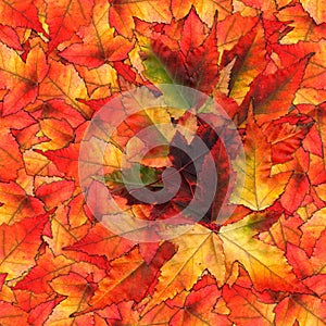 Seamless background pattern texture made of maple leaves