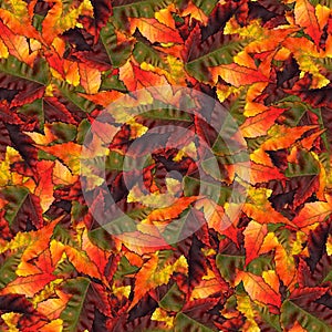 Seamless background pattern texture made of maple leaves