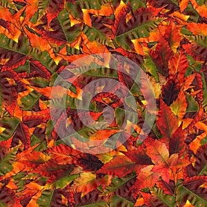 Seamless background pattern texture made of maple leaves