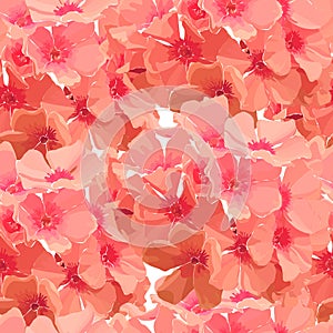 Seamless background of pink phlox