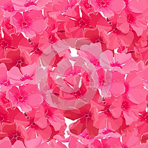 Seamless background of pink phlox