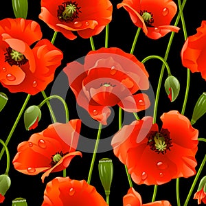 Seamless background: poppy