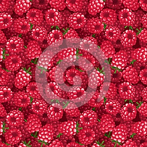 Seamless background with raspberry. Vector illustration.