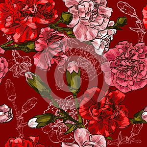 Seamless background with red flower carnation