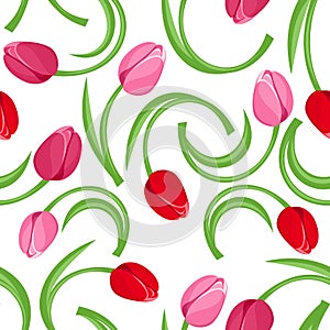 Vector Seamless background with red and pink tulip