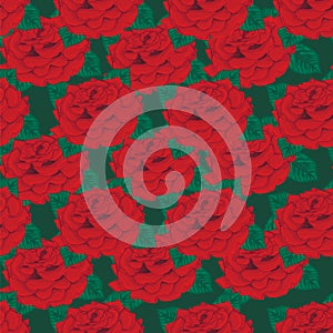 Seamless background. Red roses.