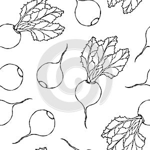 Seamless Background of Ripe Beets. Endless Pattern of Beetroot with Top Leaves. Fresh Vegetable Salad. Hand Drawn Vector Illustrat