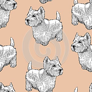 Seamless background of the scottish terriers