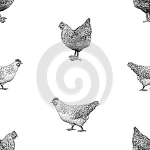 Seamless background of sketches black and white farm hens