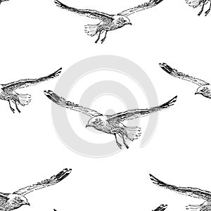 Seamless background of sketches of flying seagulls