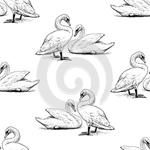 Seamless background of sketches pairs white swans on lake shore