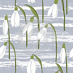 Seamless background with snowdrops.