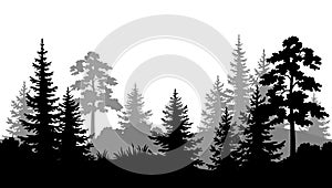 Seamless Background, Summer Forest Silhouettes