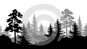 Seamless Background, Summer Forest Silhouettes