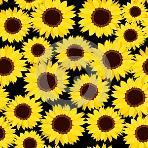 Seamless background with sunflowers.