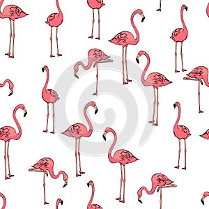 Seamless background, three pink flamingos on white. Vector