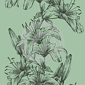 Seamless background with tiger lilies, hand-drawing. Vector illustration.