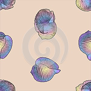 Seamless background of various drawn colorful seashells