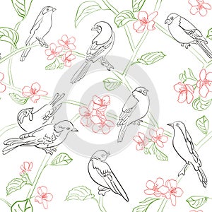 seamless background. Vector pattern with silhouettes of birds and apple tree flowers on white. Spring